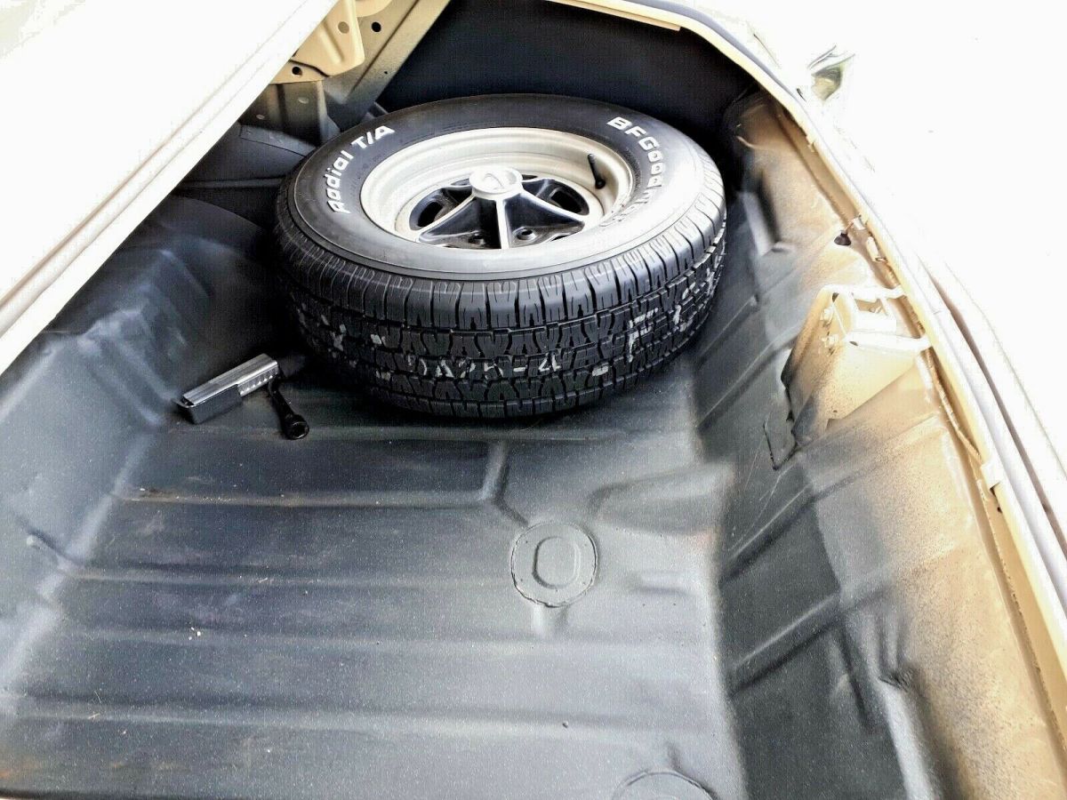 1970 Buick Skylark - photo 9