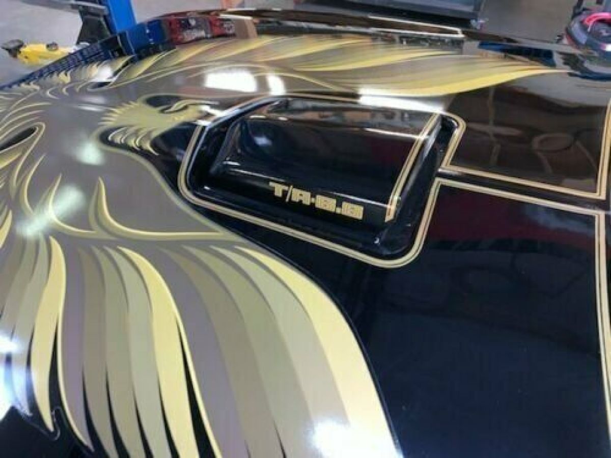 1979 Pontiac Firebird - photo 12