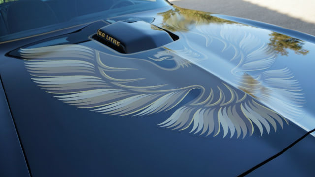1979 Pontiac Firebird SE - photo 10