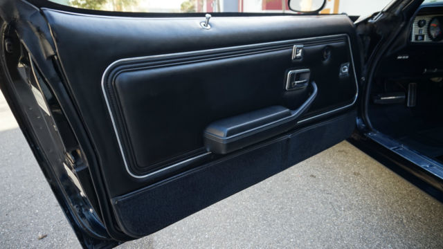 1979 Pontiac Firebird SE - photo 13