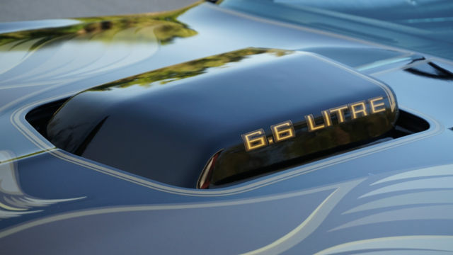 1979 Pontiac Firebird SE - photo 3