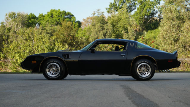 1979 Pontiac Firebird SE - photo 4