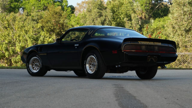 1979 Pontiac Firebird SE - photo 5