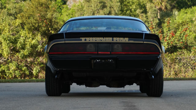 1979 Pontiac Firebird SE - photo 6