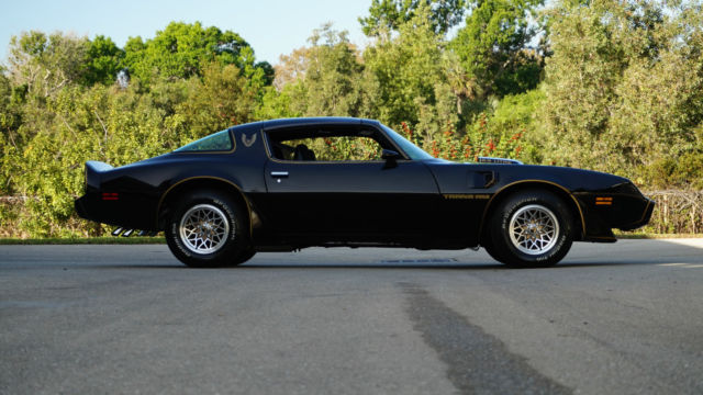 1979 Pontiac Firebird SE - photo 8
