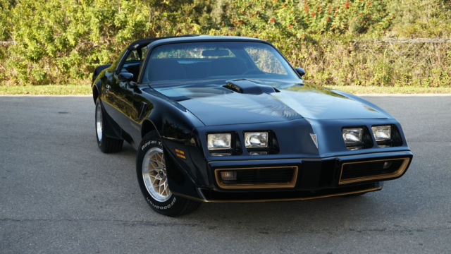1979 Pontiac Firebird SE - photo 9
