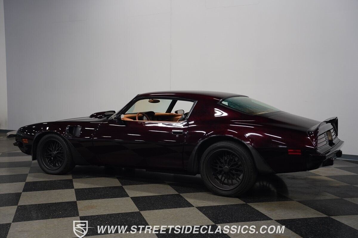1974 Pontiac Firebird Trans Am Super Duty - photo 11