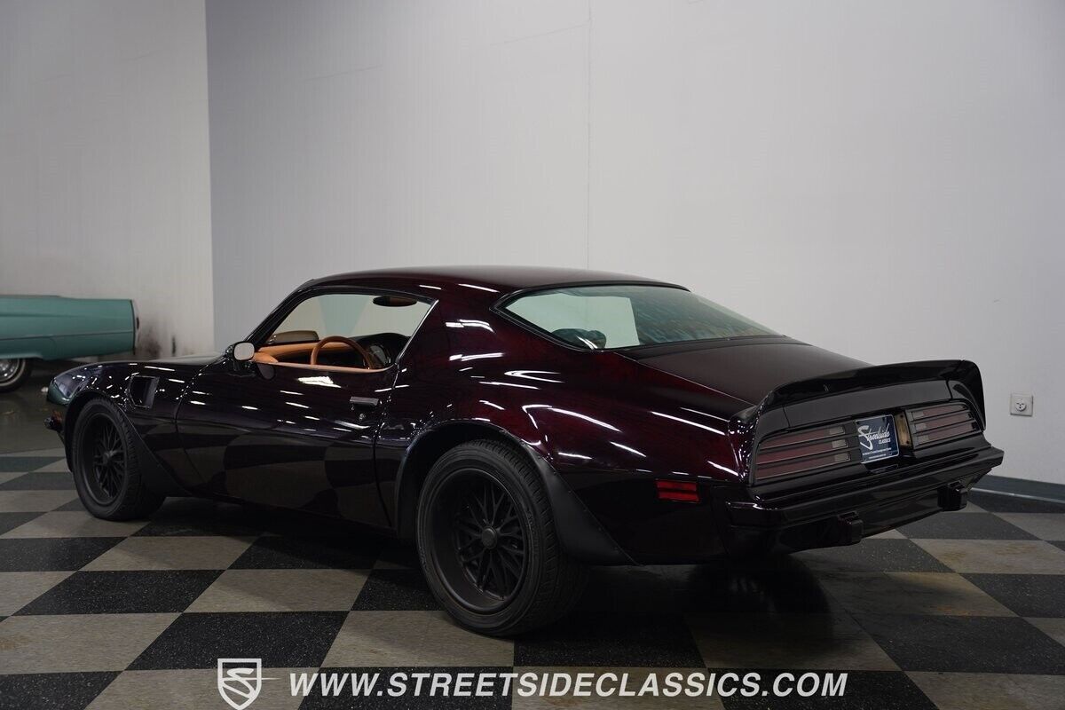 1974 Pontiac Firebird Trans Am Super Duty - photo 12