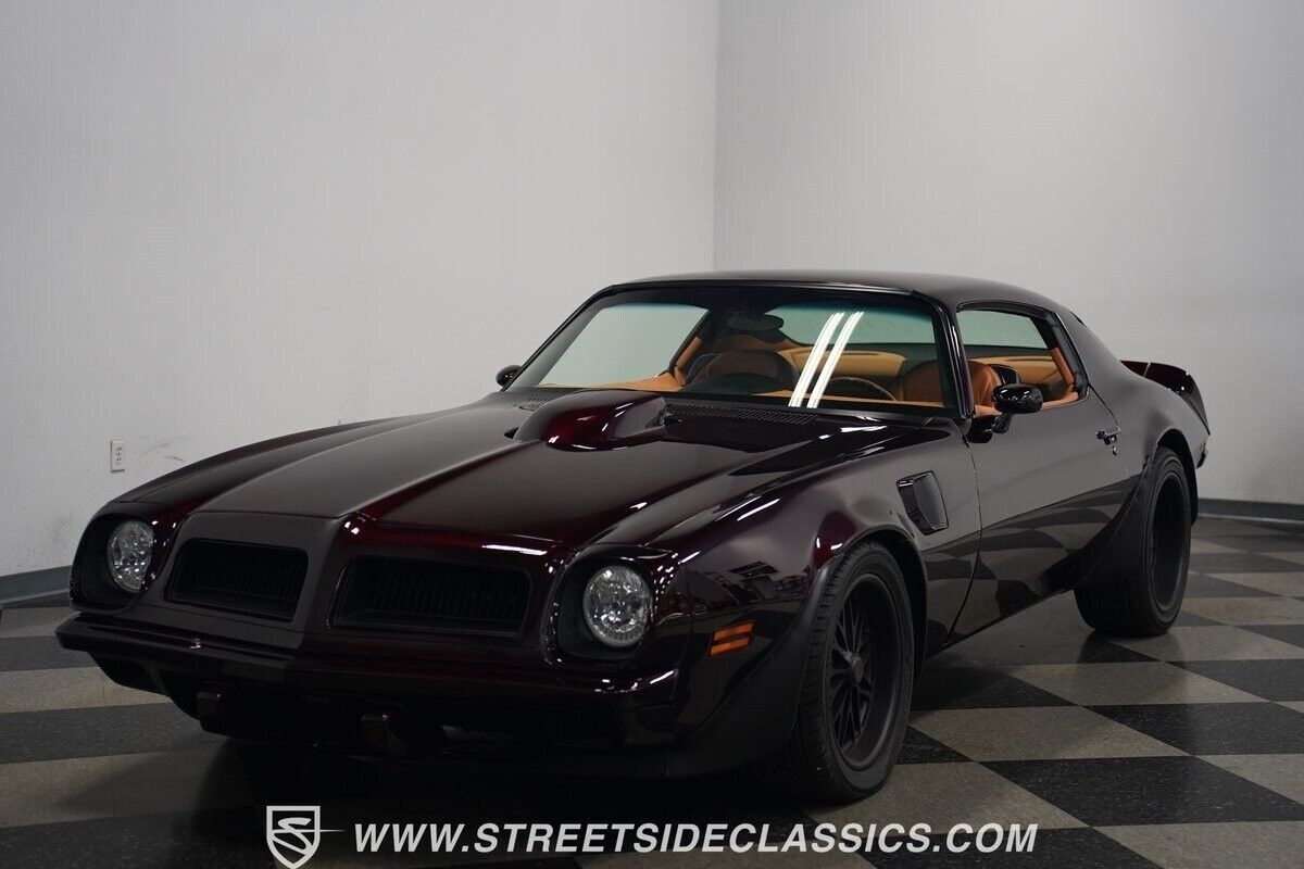 1974 Pontiac Firebird Trans Am Super Duty - photo 7