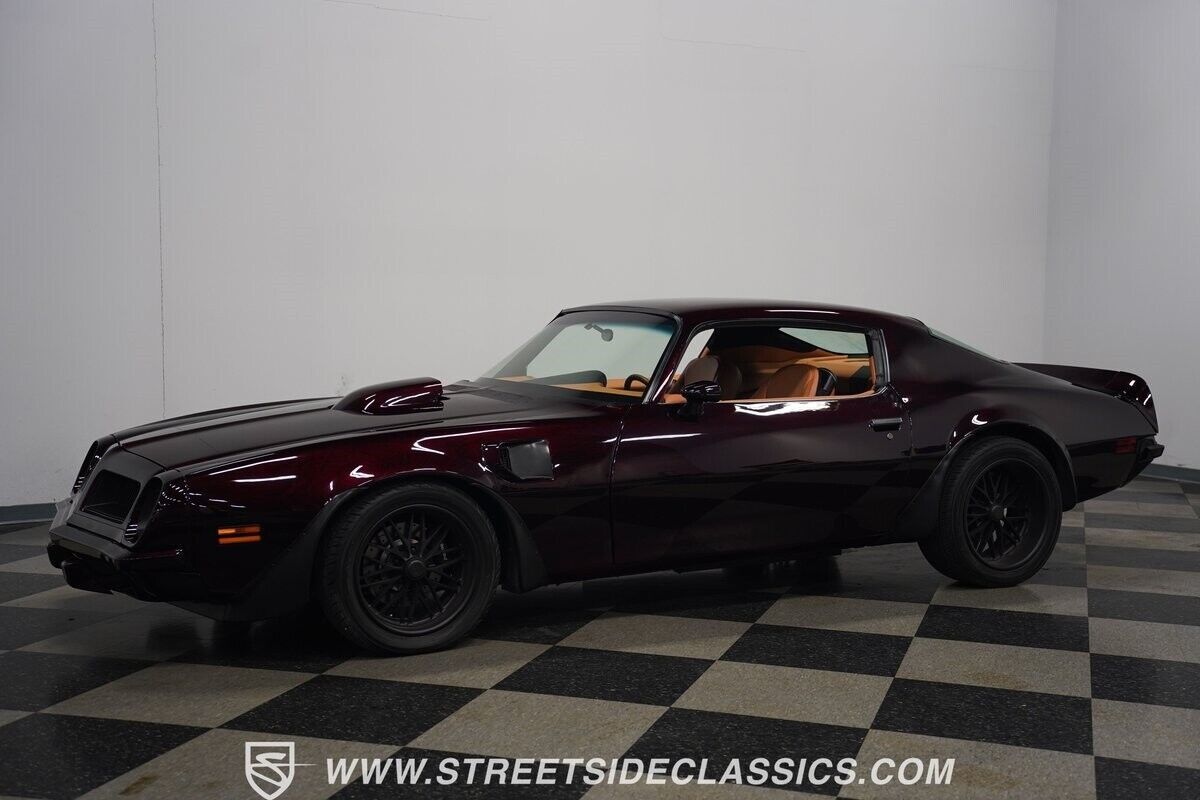 1974 Pontiac Firebird Trans Am Super Duty - photo 9