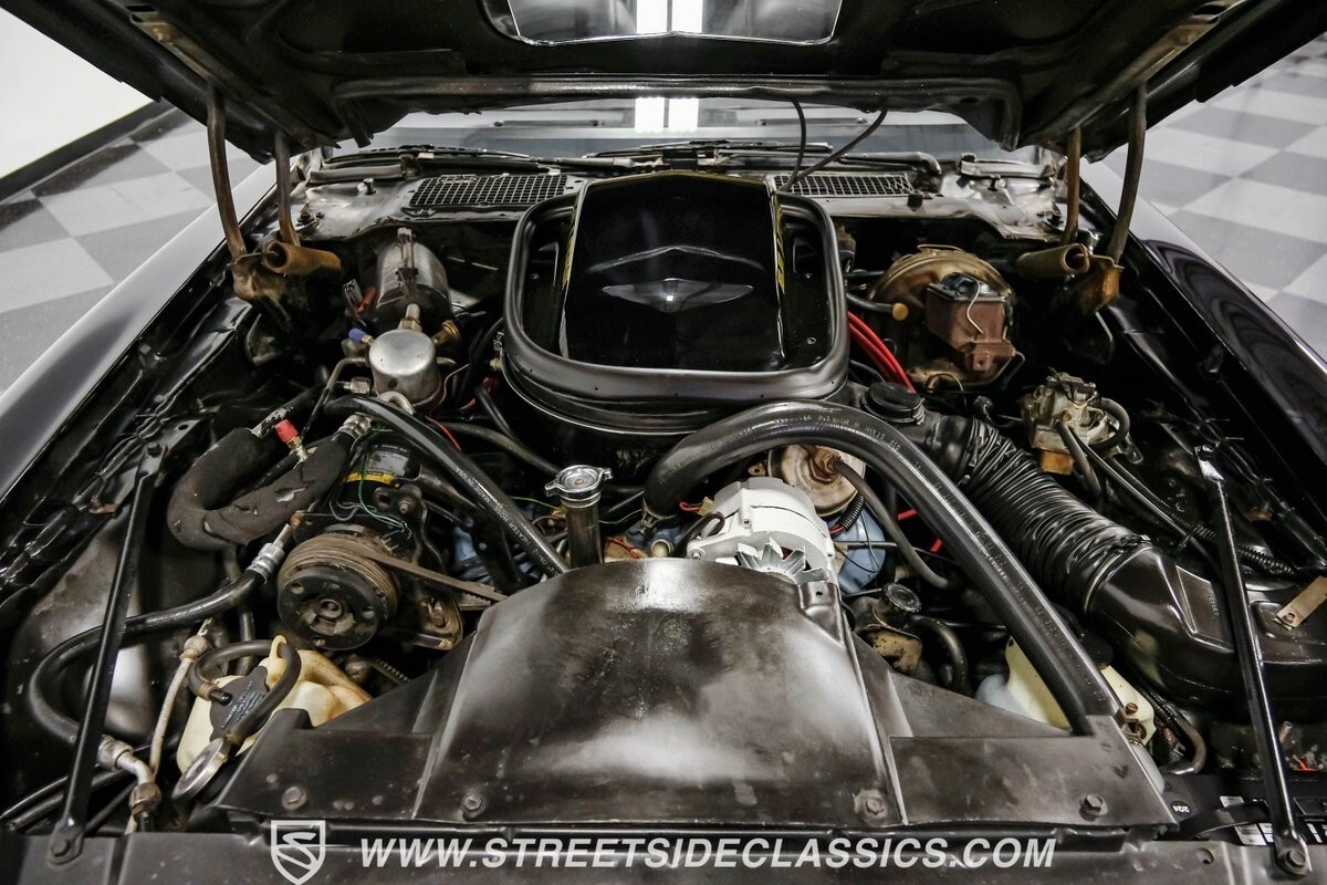 1979 Pontiac Firebird Trans Am Y84 Special Edition - photo 4