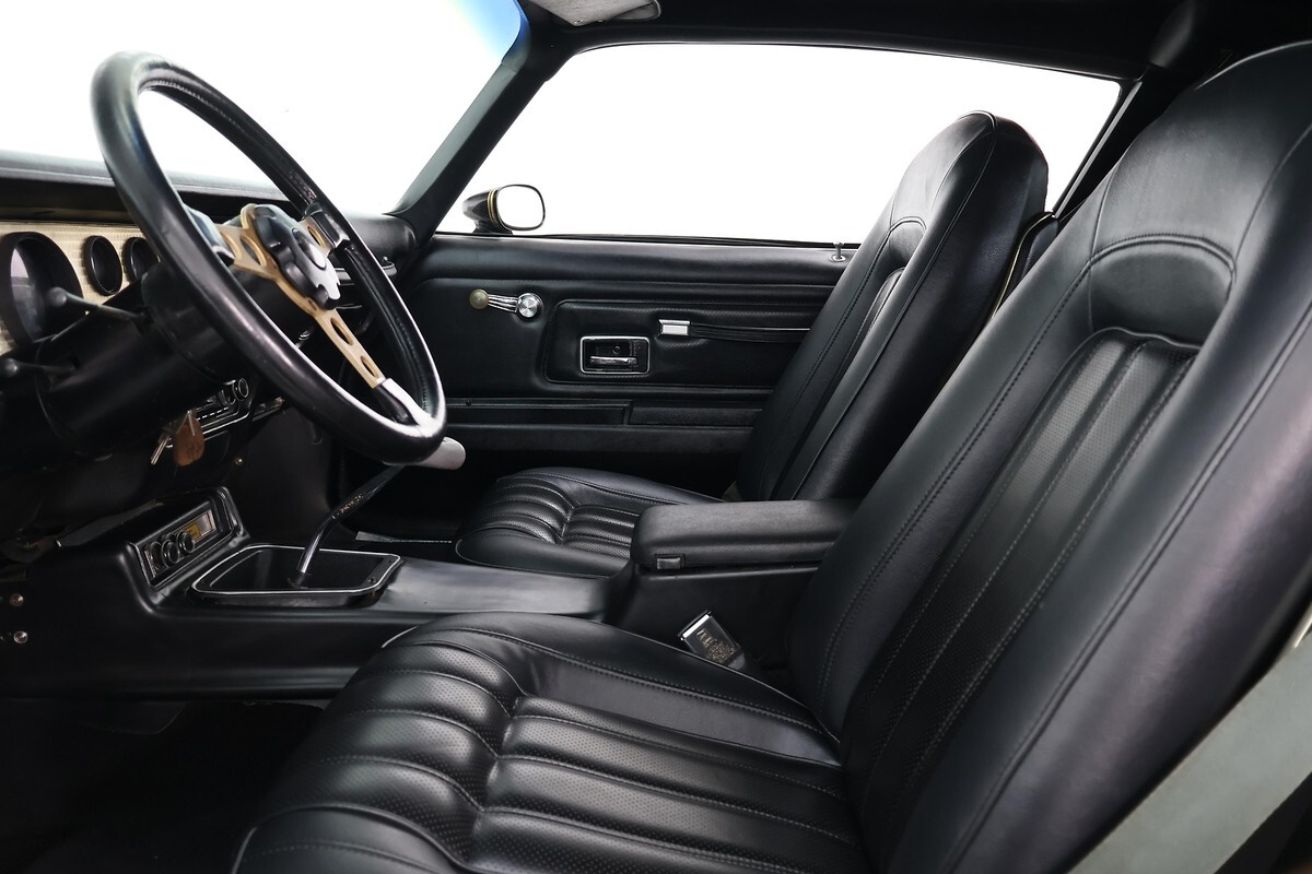 1976 Pontiac Firebird Tramsam - photo 13