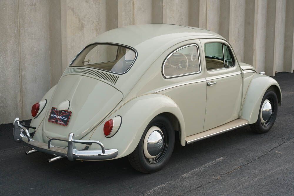 1964 Volkswagen Beetle - photo 5