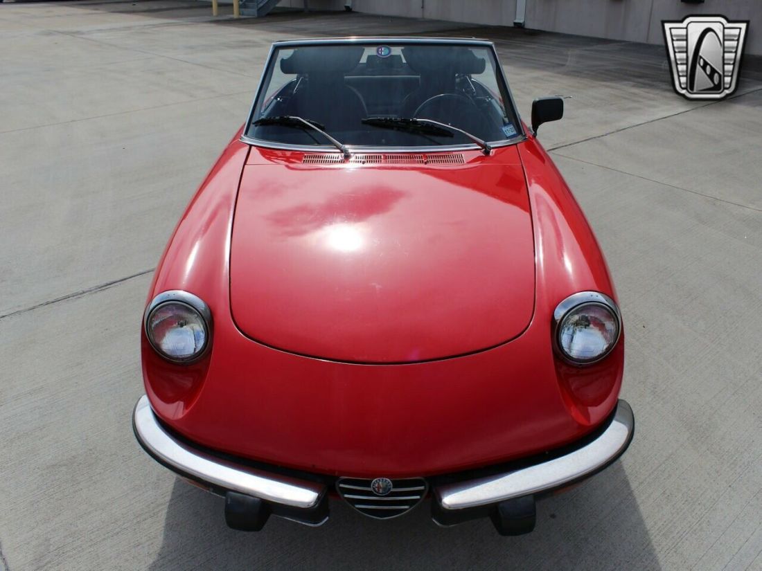 1974 Alfa Romeo Spider - photo 6