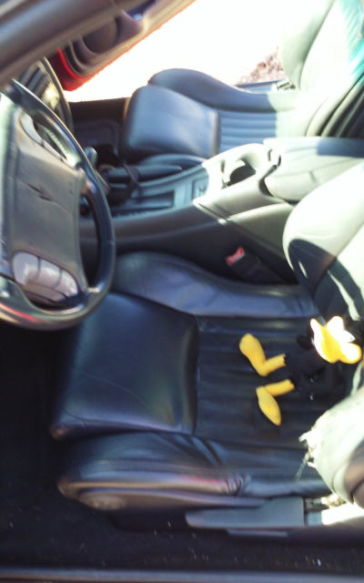 1994 Pontiac Firebird Trans Am - photo 8
