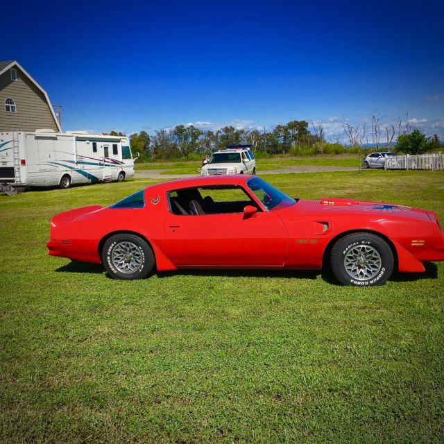 1977 Pontiac Trans Am Firebird - photo 4