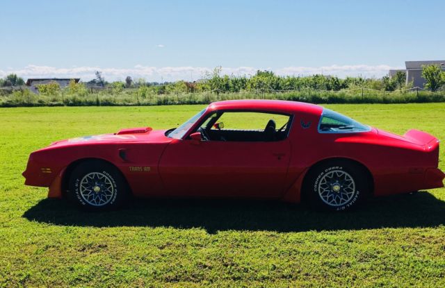 1977 Pontiac Trans Am Firebird - photo 8