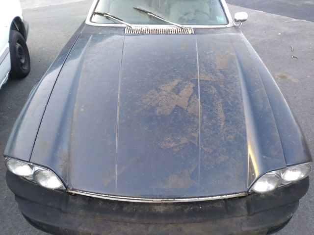 1976 Jaguar XJS - photo 2