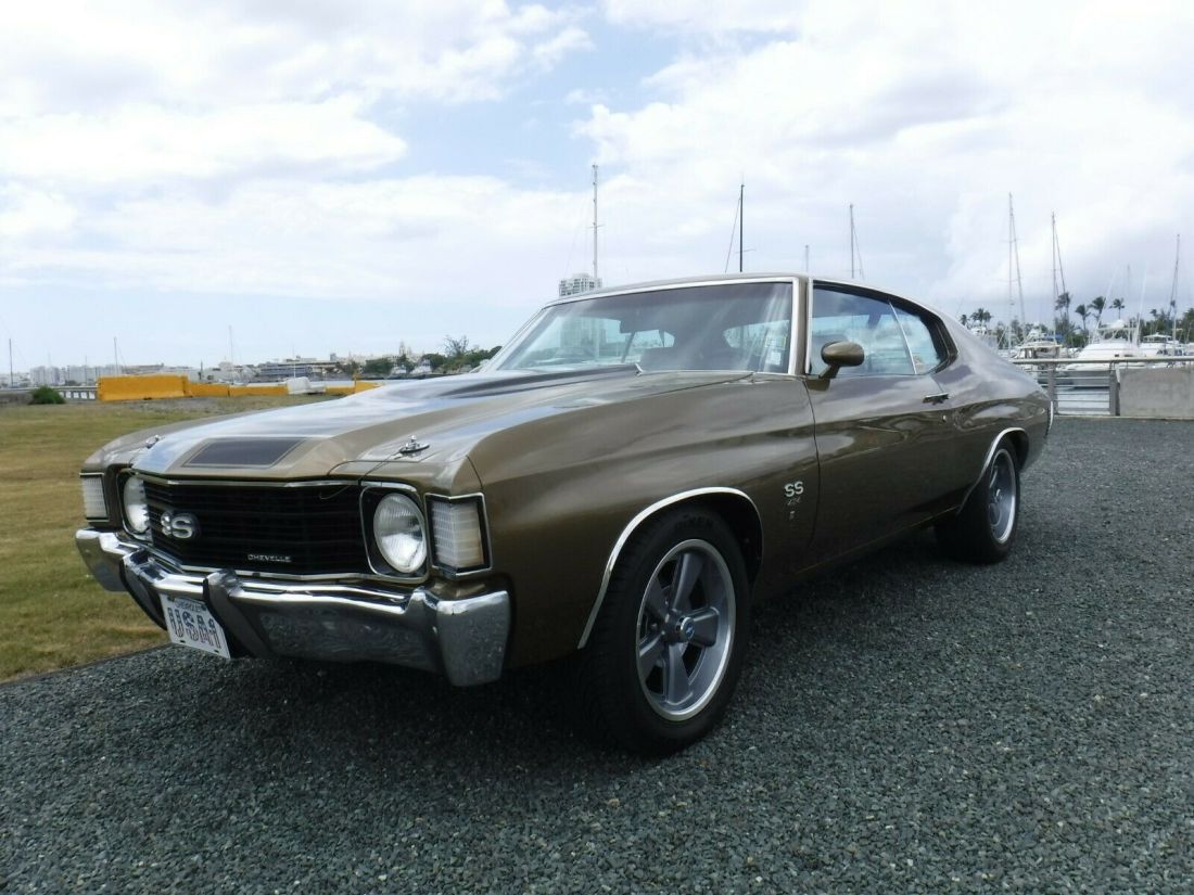 1972 Chevrolet Chevelle SS Tribute - photo 2