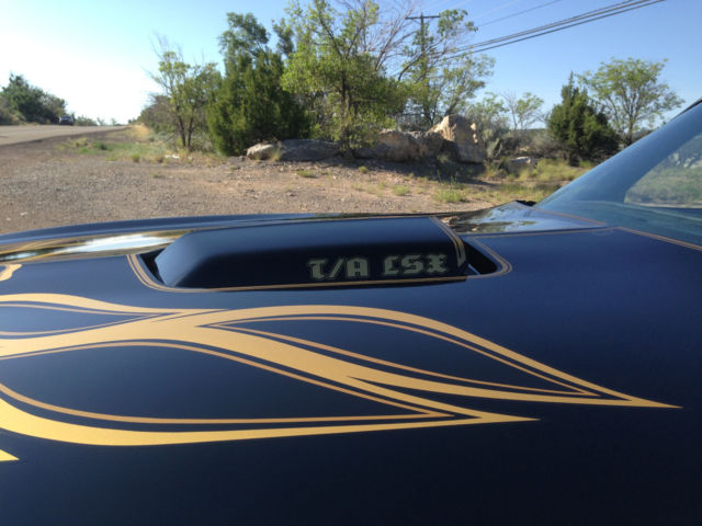 1977 Pontiac Trans Am LS1 - photo 6