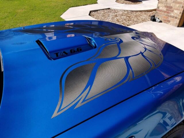 1979 Pontiac Firebird Trans Am 10th Anniversary Edition - photo 4