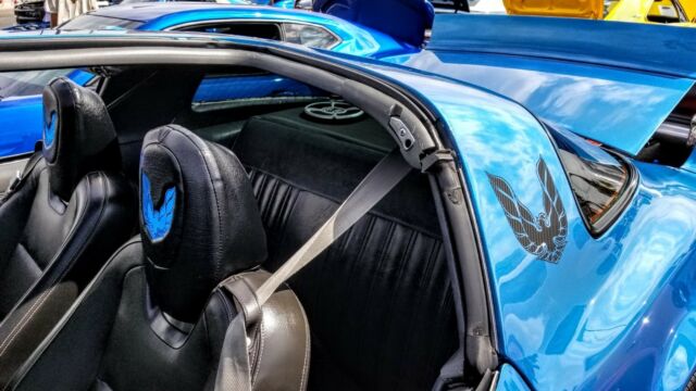 1979 Pontiac Firebird Trans Am 10th Anniversary Edition - photo 7