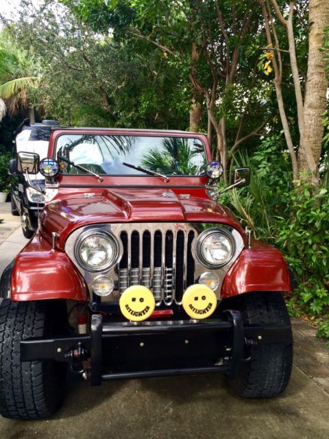 1980 Jeep Wrangler Custom - photo 4
