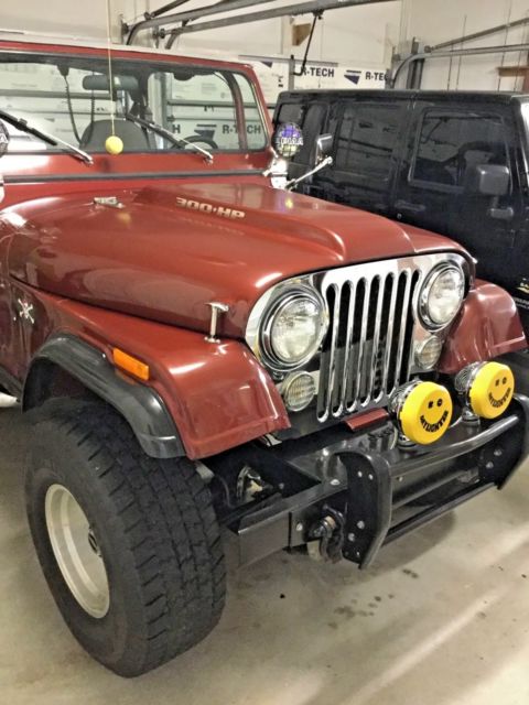 1980 Jeep Wrangler Custom - photo 9