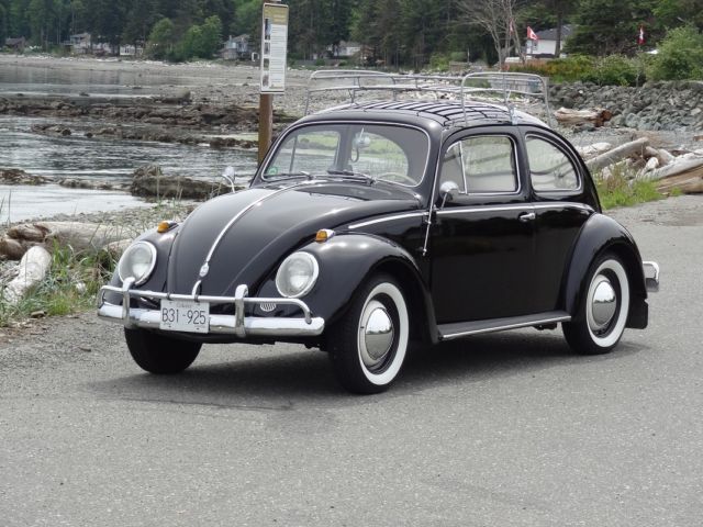 Restored 1959 Beetle 1959 Volkswagen Beetle - Classic
