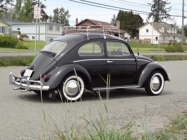 1959 Volkswagen Beetle - Classic - photo 3