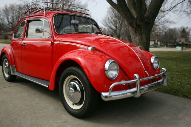 1965 Volkswagen Beetle - Classic - photo 3