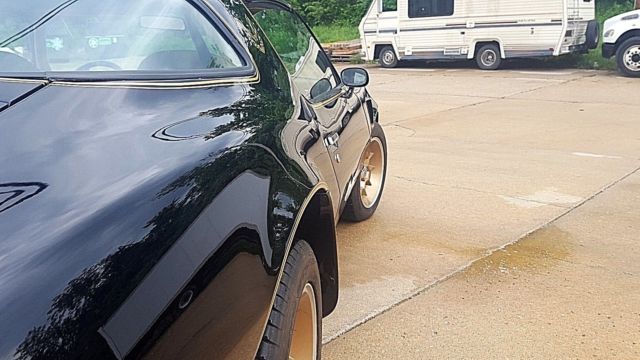 1976 Pontiac Trans Am - photo 13