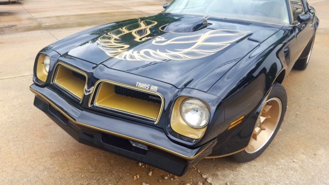 1976 Pontiac Trans Am - photo 3