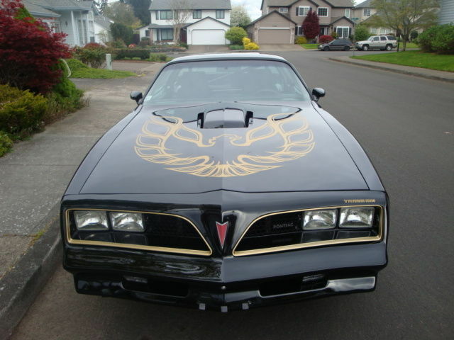 1977 Pontiac Trans Am - photo 5