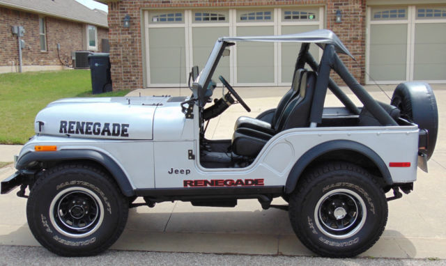 1978 Jeep CJ RENEGADE - photo 2