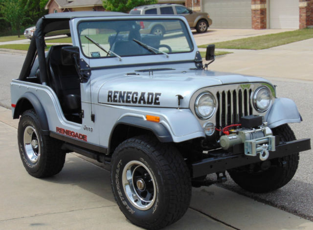 1978 Jeep CJ RENEGADE - photo 3