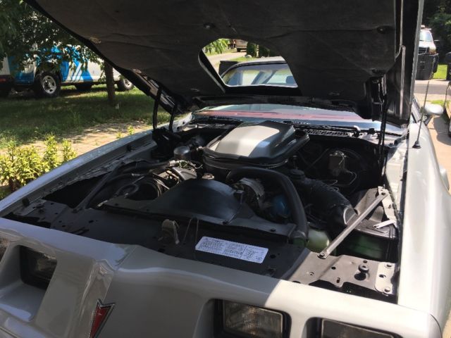 1979 Pontiac Trans Am TA - photo 8