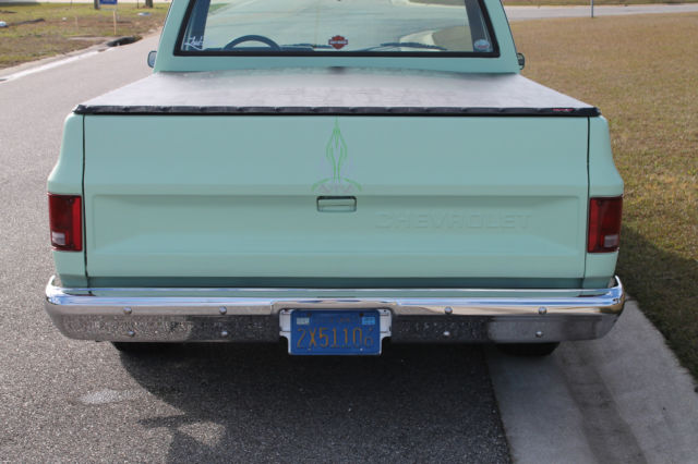 1986 Chevrolet Other Pickups C10 - photo 5