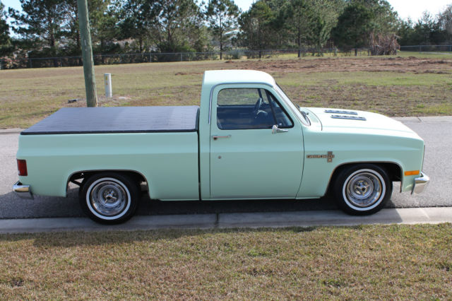 1986 Chevrolet Other Pickups C10 - photo 6