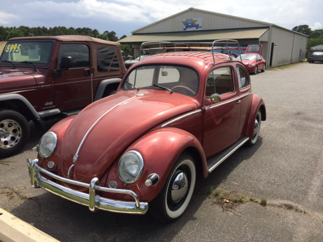 Restored Oval Window 1956 Volkswagen Beetle - Classic