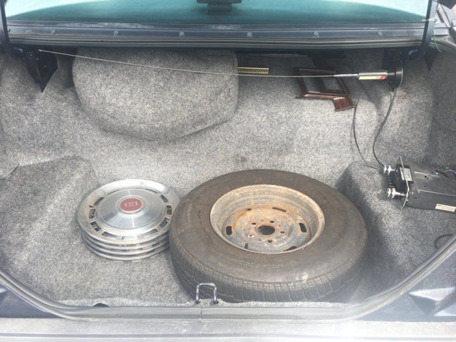 1983 Ford Crown Victoria Vinyl Top - photo 10