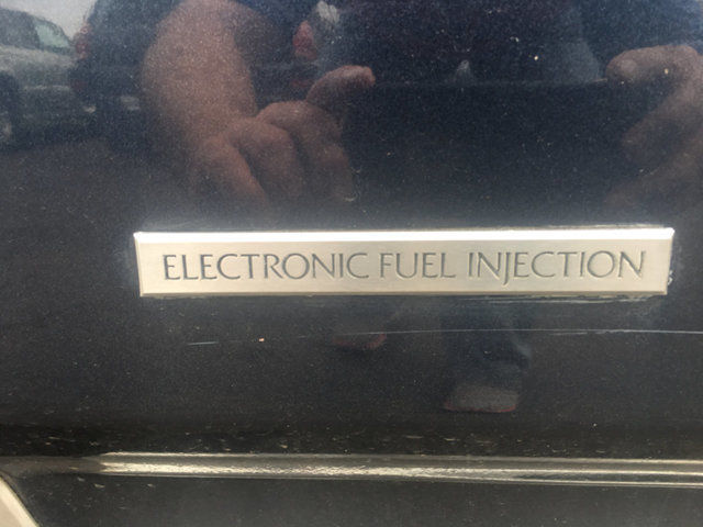 1983 Ford Crown Victoria Vinyl Top - photo 12