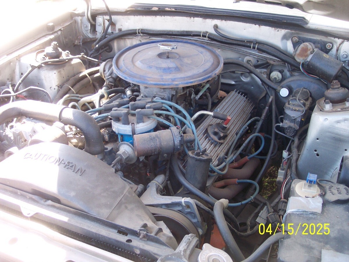 1979 Ford Mustang - photo 12