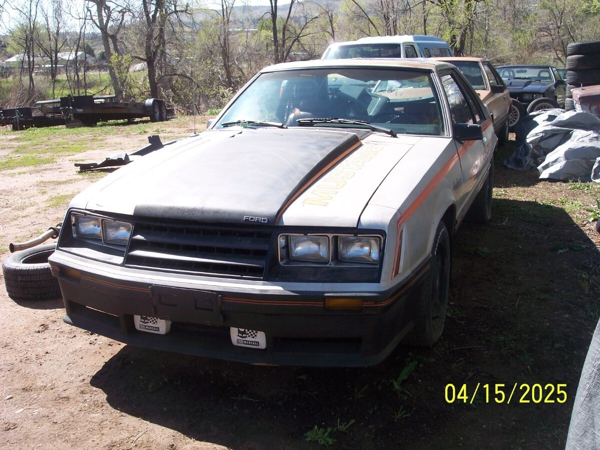 1979 Ford Mustang - photo 6
