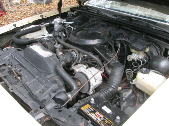 1986 Oldsmobile Cutlass Supreme - photo 5