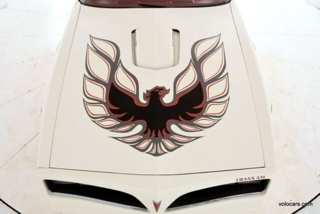 1977 Pontiac Trans Am -- - photo 10