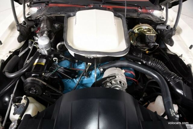1977 Pontiac Trans Am -- - photo 4