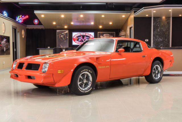 Rotisserie Restored Trans Am! Pontiac 455ci V8, T10 4-Speed Manual, PS, PB, Disc 1976 Pontiac Firebird Trans Am