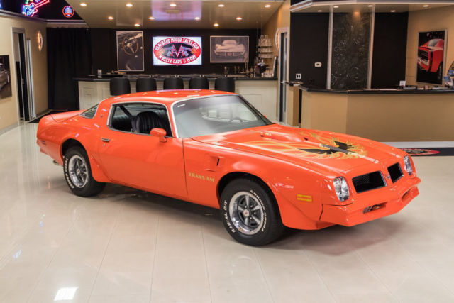 1976 Pontiac Firebird Trans Am - photo 10