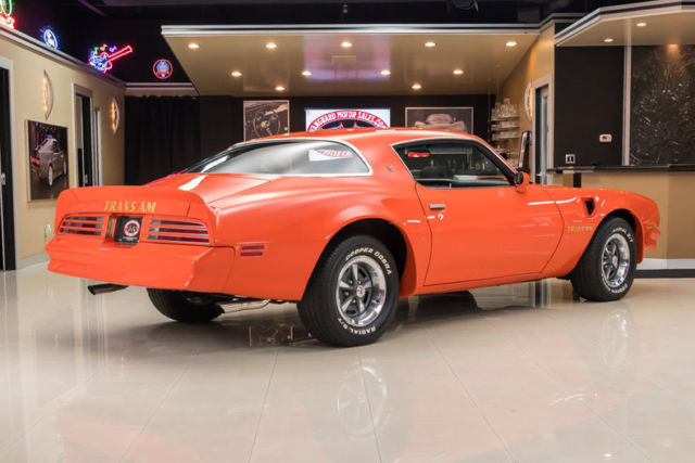 1976 Pontiac Firebird Trans Am - photo 12